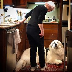 an older woman is standing in the kitchen with her dog, who is sitting on the rug