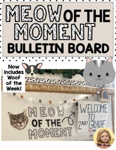 a bulletin board with pictures of cats and kittens on it, along with the words meow of the moment bulletin board