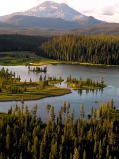 an aerial view of a lake surrounded by trees and snow capped mountains in the distance