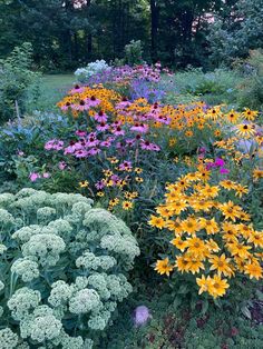 many different types of flowers in a garden