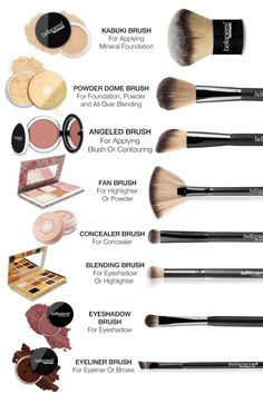 Makeup Brush Types, Brush Guide Makeup, Types Of Brushes Make Up, All Makeup Brushes And Uses, Makeup Brush Chart, Mekap Make Up Girl, Best Cheap Makeup Brushes, What Each Makeup Brush Is For, Brushes For Makeup Guide