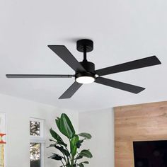 a black ceiling fan in a living room with a large potted plant next to it