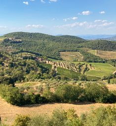 the rolling hills and valleys are dotted with trees, shrubs, and grass on a sunny day