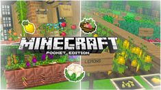 an image of a minecraft garden with lots of plants and flowers in it, including carrots