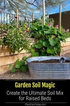 garden soil magic create the ultimate soil mix for raised beds by using an old galvanie bucket