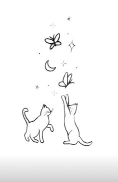 two cats playing with each other in front of a butterfly and stars wall decal