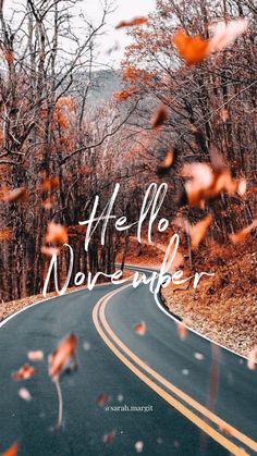 the road is surrounded by trees with leaves flying in the air and an inscription that reads hello