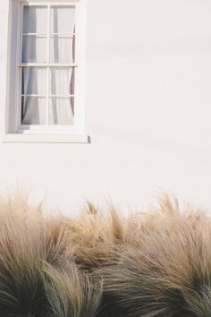 an image of a window in the side of a building with grass growing around it