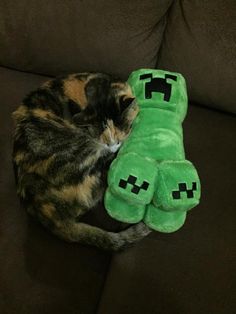 a cat sleeping on top of a green stuffed animal