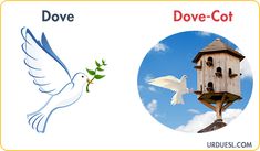 a birdhouse and dove with the word dove - cot in front of it's image