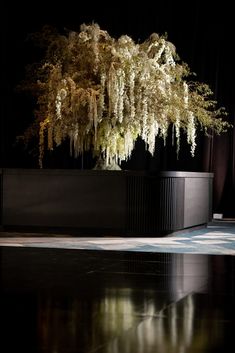 a large tree is in the middle of a room with black walls and flooring