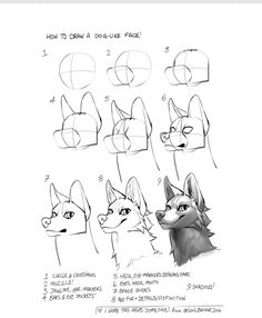 how to draw a dog's face with different angles and head shapes, including the eyes