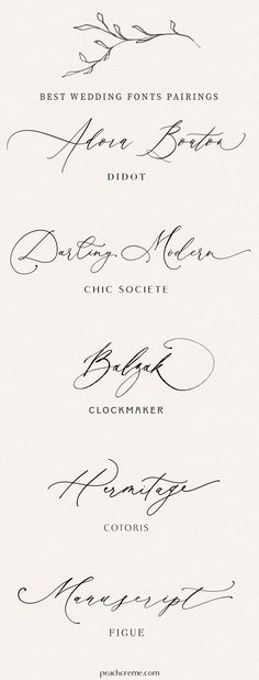 four different types of calligraphy are shown in black and white, with the names below them