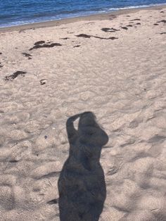 a shadow of a dog on the beach