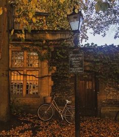 a bicycle parked next to a lamp post in front of a building with ivy growing on it