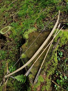 three arrows are laying on the ground in the grass next to a tree stump with moss growing all over it