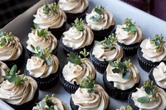 cupcakes with cream frosting and green leaves on top sit in a box