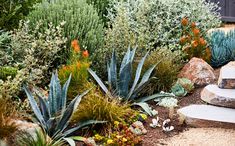 a garden filled with lots of different types of flowers and plants next to a stone bench