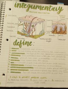 an open notebook with information about the different stages of plant life and how to use it