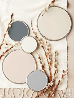 three round mirrors sitting on top of a piece of paper next to some dried branches