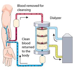 an image of a diagram showing the flow of blood from a vein into a tube