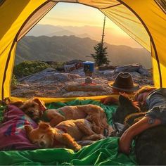 a man and two dogs laying in a tent on top of a mountain with the sun setting