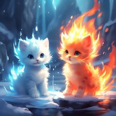 two kittens sitting next to each other in front of a fire and ice background