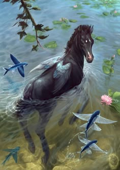 a horse standing in the water surrounded by fish