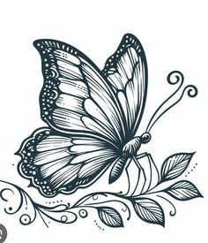 a black and white drawing of a butterfly