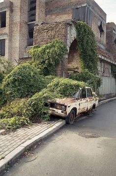 an old rusted truck parked in front of a building with ivy growing on it