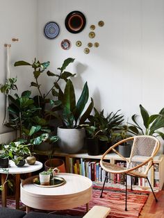 an instagram with plants and furniture on it