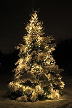 a snow covered christmas tree with lights on it's branches in the snow at night