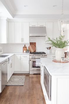 a kitchen with white cabinets and wood flooring is pictured in this image, there is a potted plant on the counter