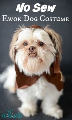 a small white dog wearing a brown costume with words above it that say no sew ewok dog costume