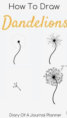 how to draw dandelions with the text,'how to draw dandelions '