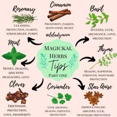 Herb Meanings, Herbs For Protection, Thyme Herb, Magickal Herbs, Witch Herbs, Magic Herbs, Essential Oils Herbs, Magical Herbs