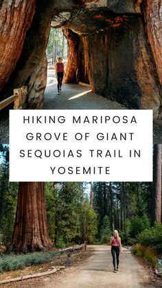 a woman walking down a trail in the woods with text overlay reading hiking marposa grove of giant sequas trail in yosemite