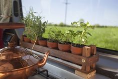 potted plants are on the window sill next to a teapot and kettle