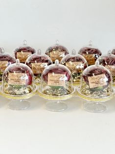 there are many glass ornaments with labels on them in the shape of snow globes