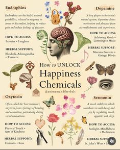 Happiness Chemicals, Ayurveda Life, Herbs Garden, Medical Herbs, Magic Herbs, Energy Healing Spirituality, Herbal Healing, Herbal Magic, Herbs For Health