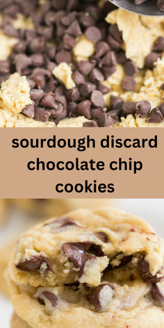 sourdough chocolate chip cookies on a plate