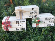 three wooden blocks with christmas sayings on them sitting in the grass next to evergreen branches