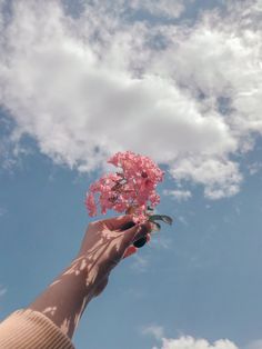 a person's hand holding a pink flower in front of a cloudy blue sky