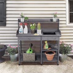 a potted plant sitting on top of a wooden shelf