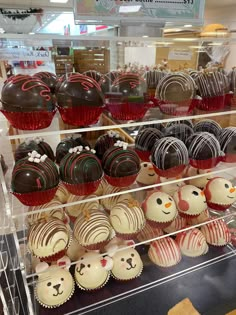 a display case filled with lots of different types of cupcakes and chocolates