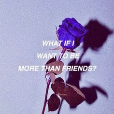 a blue rose with the words what if i want to be more than friends?