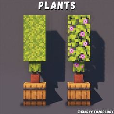 an image of some plants that are in minecraft