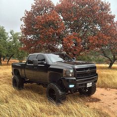 a black truck parked in the middle of a field