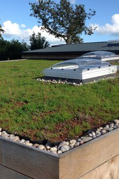 a green roof with rocks and grass in the foreground