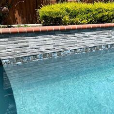 an empty swimming pool in the middle of a backyard with blue water and green bushes